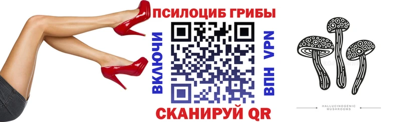 Псилоцибиновые грибы мицелий  Уржум 